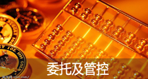 委托及管控
